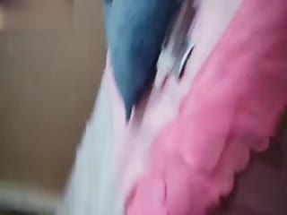国产精品