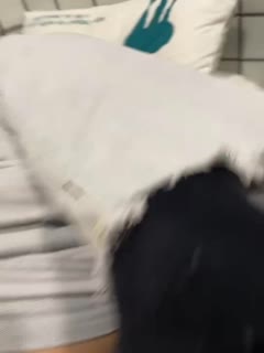 国产乱伦
