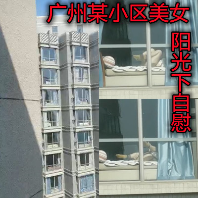 网传热门