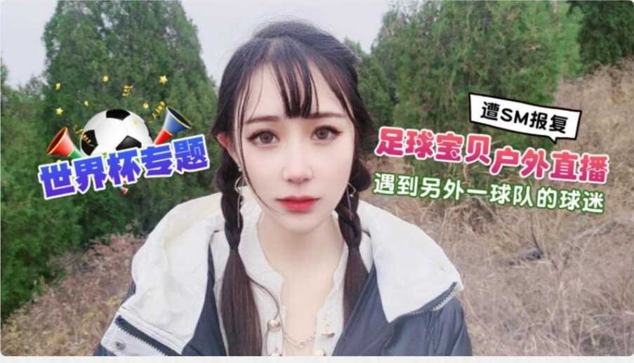 其它片商