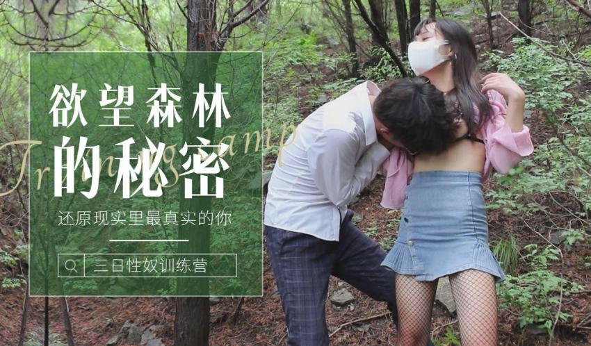 其它片商