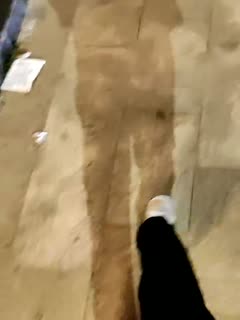 国产探花