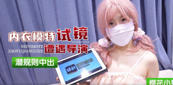 其它片商