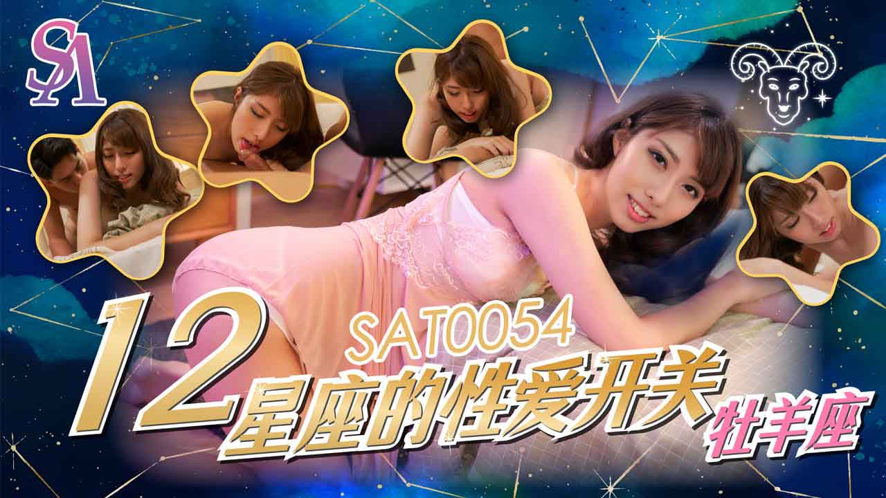 SA国际传媒