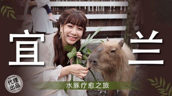 麻豆传媒