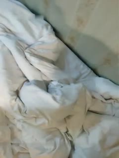 国产精品