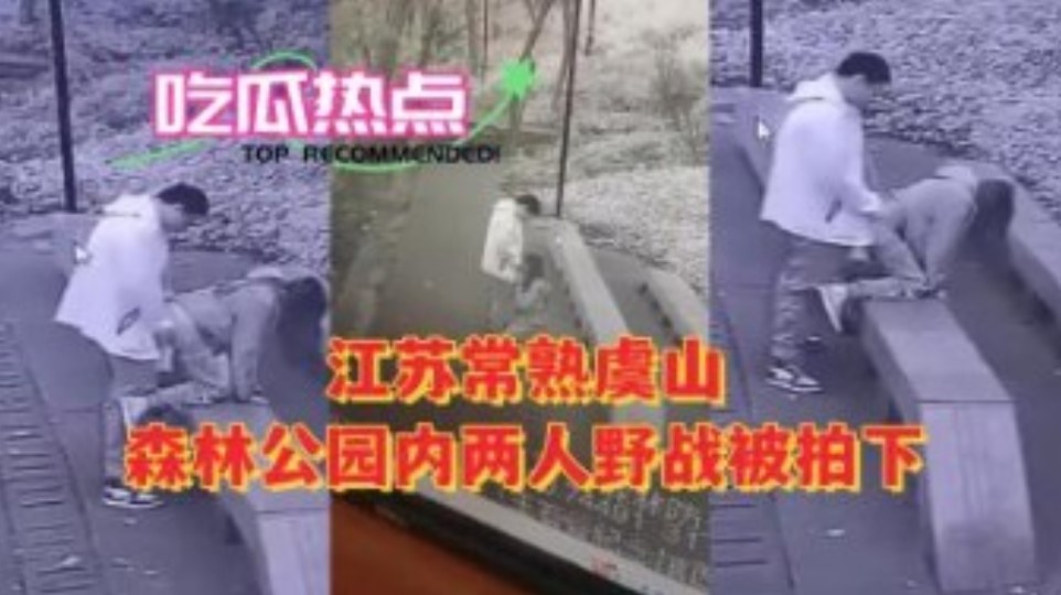 网传热门