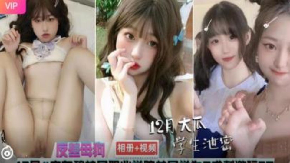 网传热门