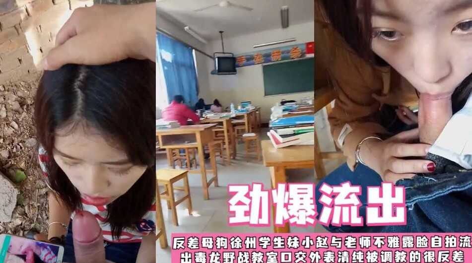 网传热门