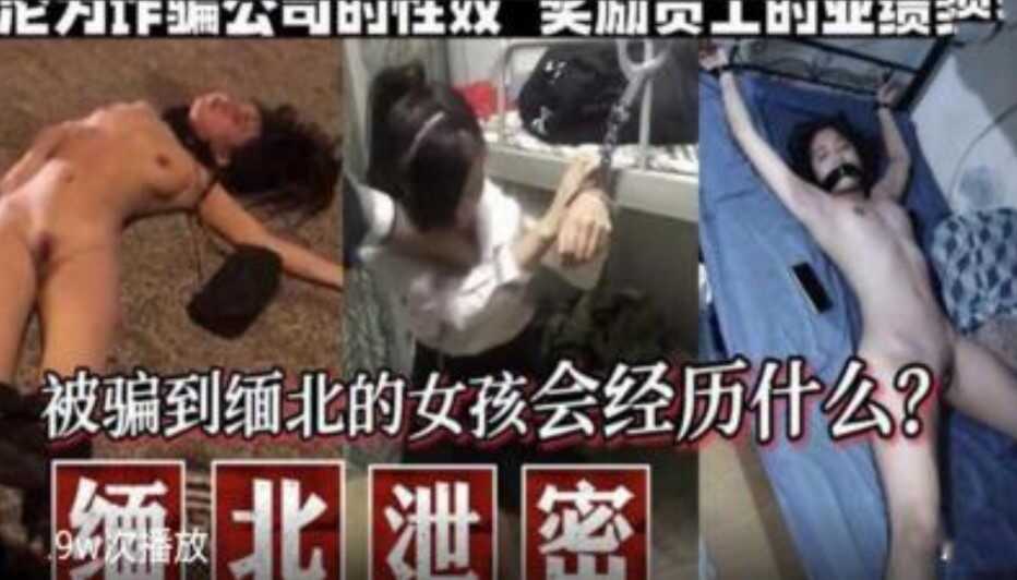网传热门