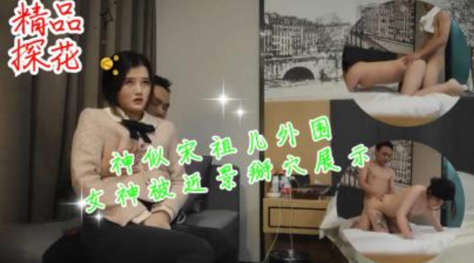 国产探花