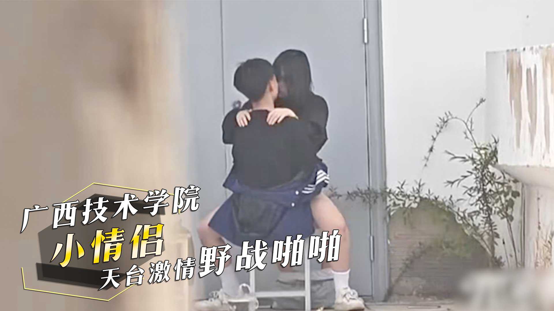 网传热门