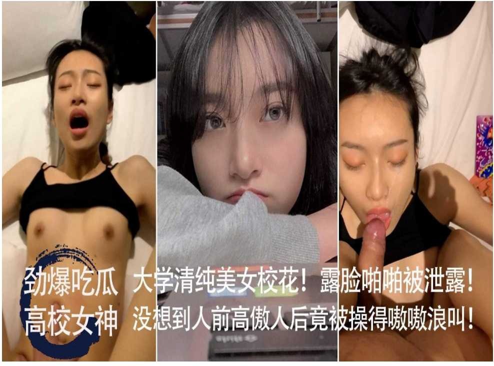 网传热门