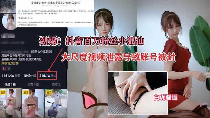 网传热门