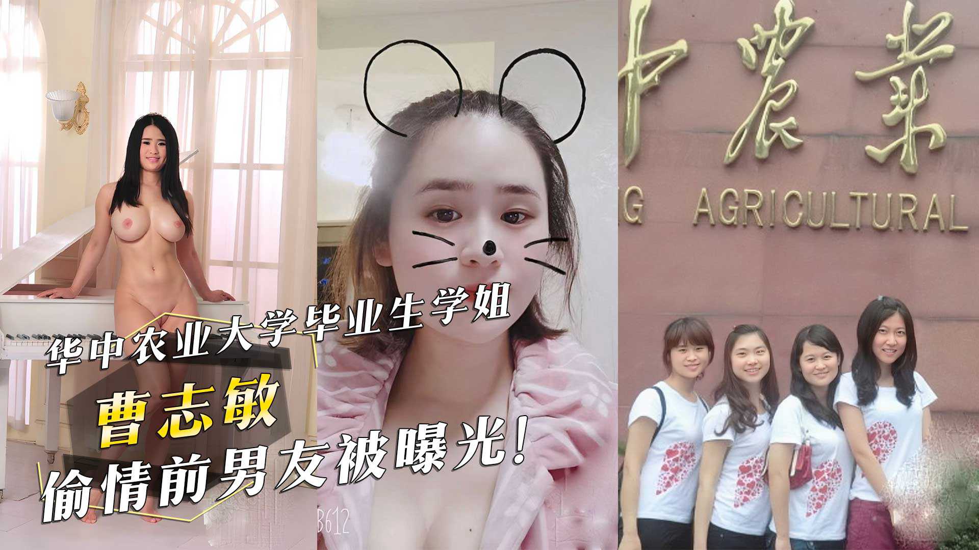 网传热门