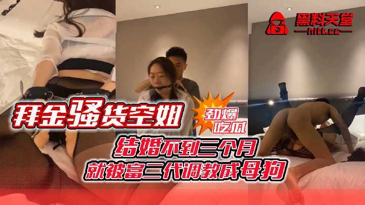 网传热门