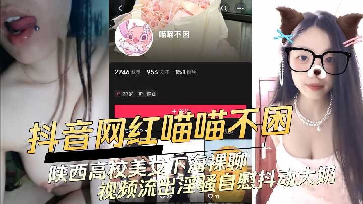 网传热门