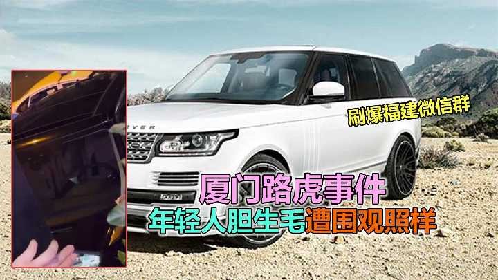 网传热门