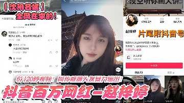 网传热门