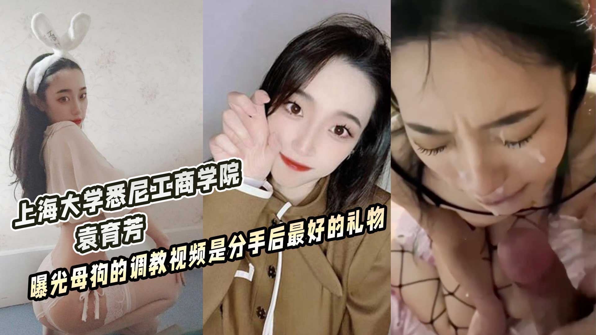 网传热门