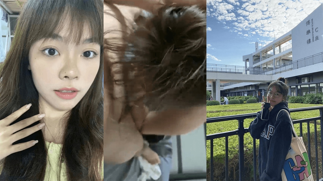 网传热门