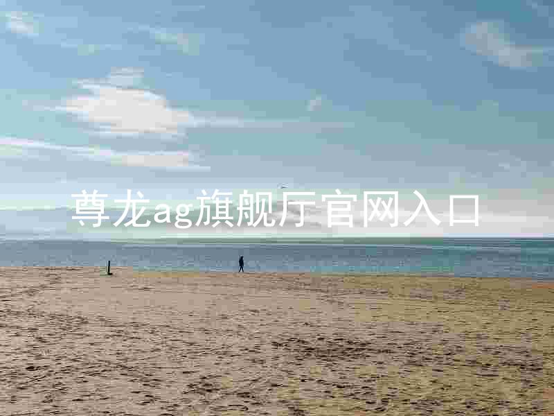 尊龙ag旗舰厅官网入口