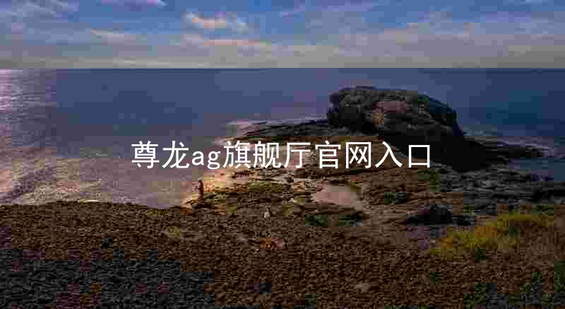 尊龙ag旗舰厅官网入口