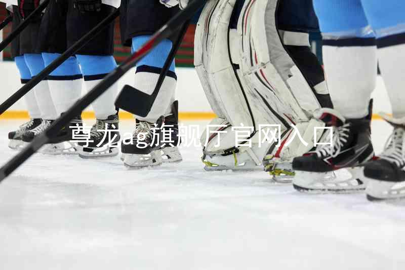 尊龙ag旗舰厅官网入口