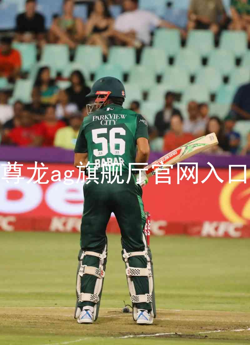 尊龙ag旗舰厅官网入口