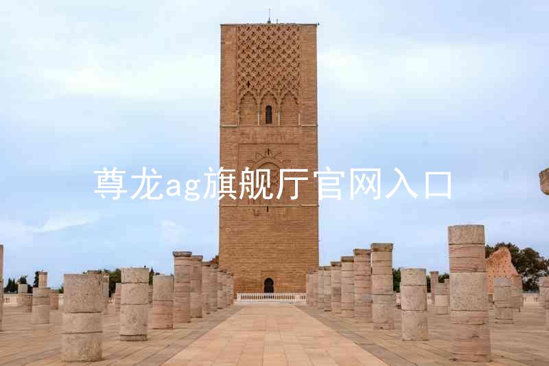 尊龙ag旗舰厅官网入口